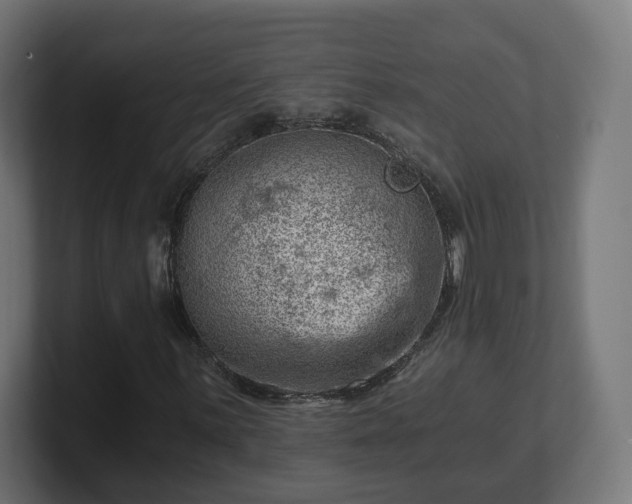 X0000101651059200807171248