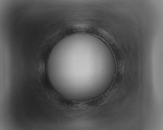 X0000101651061200807171248