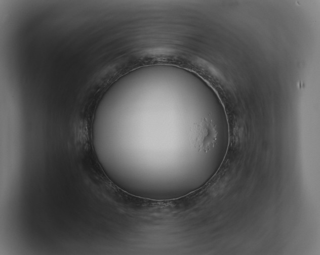 X0000101651062200807171248