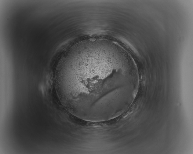 X0000101651063200807171248