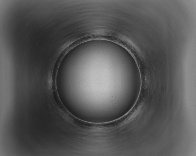 X0000101651065200807171248