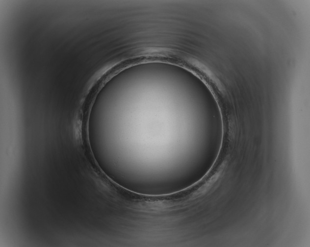 X0000101651066200807171248