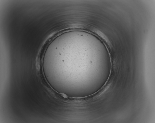 X0000101651067200807171248