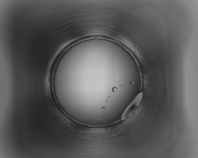 X0000101651068200807171248