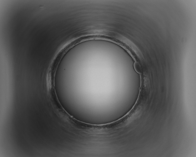 X0000101651069200807171248