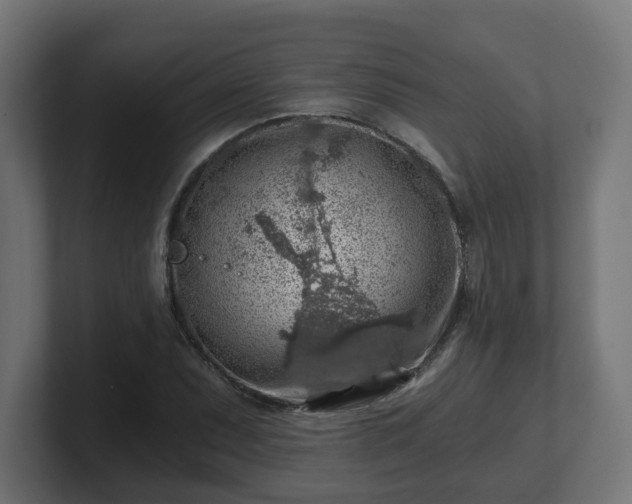 X0000101651071200807171248