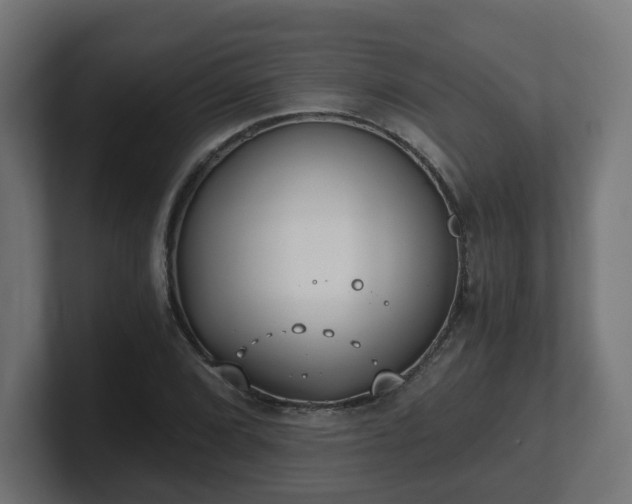 X0000101651072200807171248