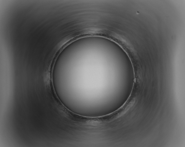 X0000101651073200807171248