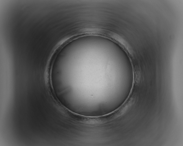 X0000101651074200807171248