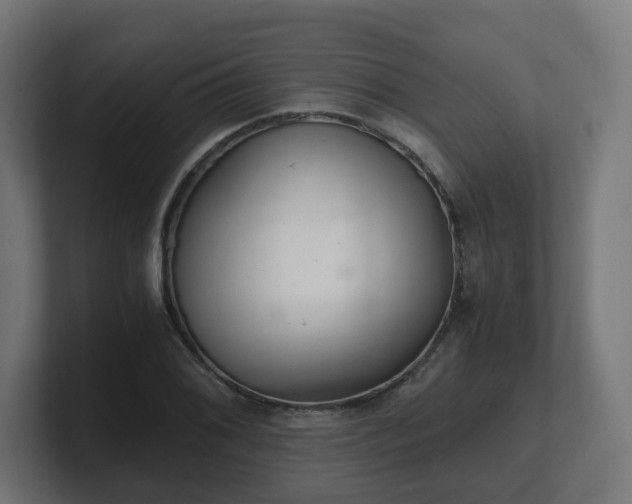 X0000101651076200807171248