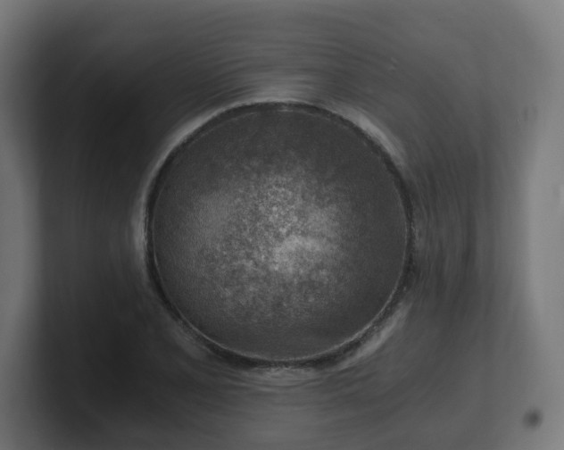 X0000101651077200807171248