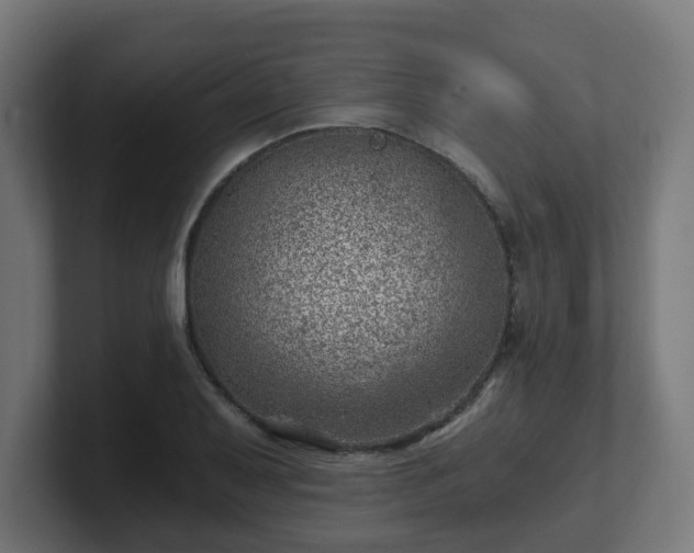 X0000101651079200807171248