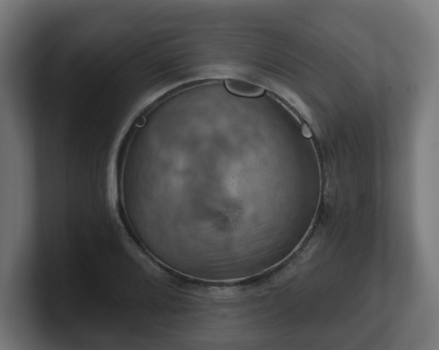 X0000101651080200807171248