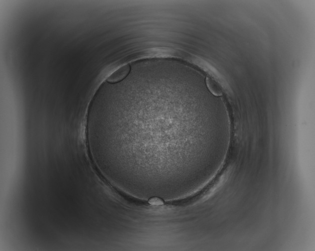 X0000101651081200807171248