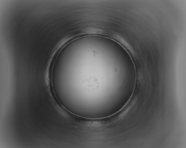 X0000101651082200807171248