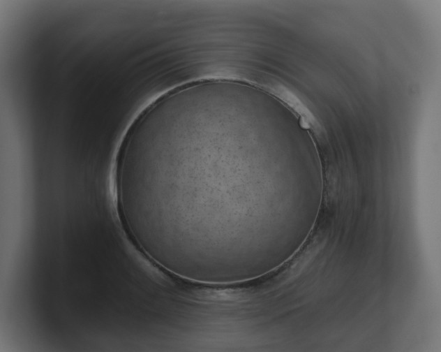 X0000101651084200807171248