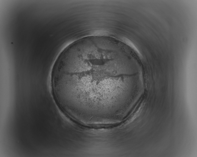 X0000101651087200807171248