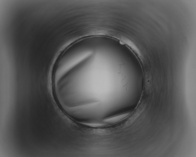 X0000101651088200807171248