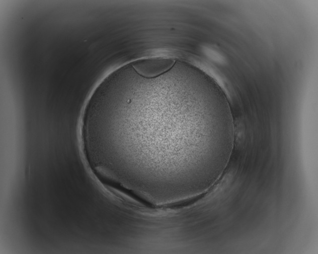 X0000101651091200807171248