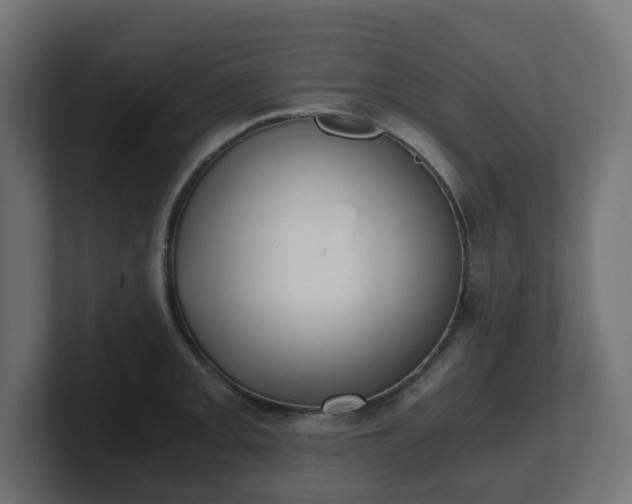 X0000101651093200807171248