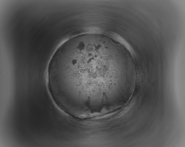 X0000101651095200807171248