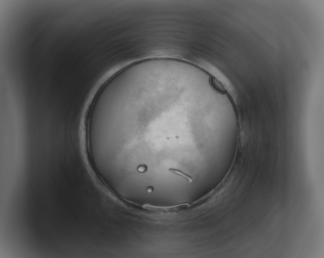 X0000101651096200807171248