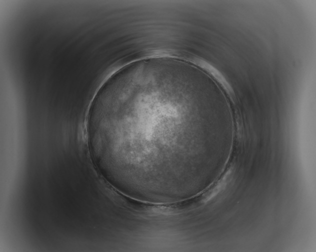 X0000101651097200807171248