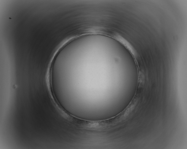 X0000101651098200807171248