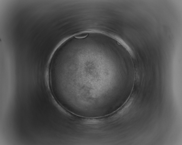 X0000101651100200807171248