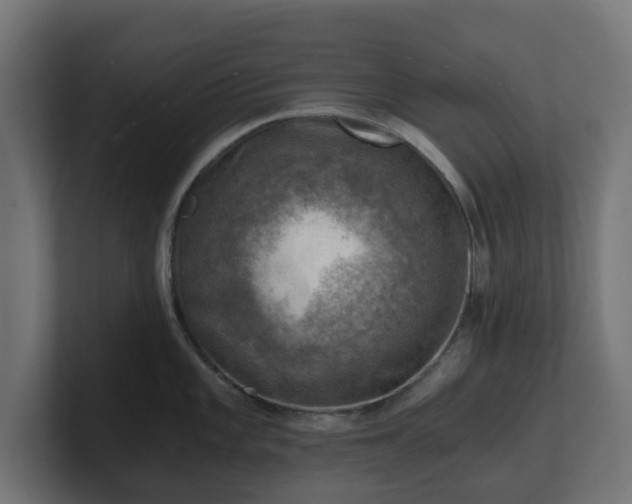 X0000101651101200807171248