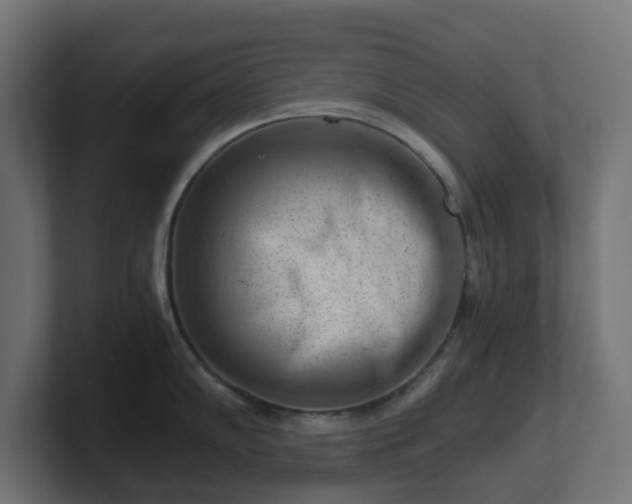 X0000101651102200807171248