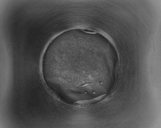 X0000101651104200807171248