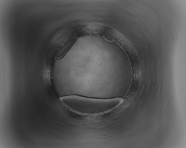 X0000101651108200807171247