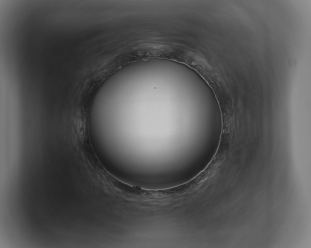 X0000101651109200807171247