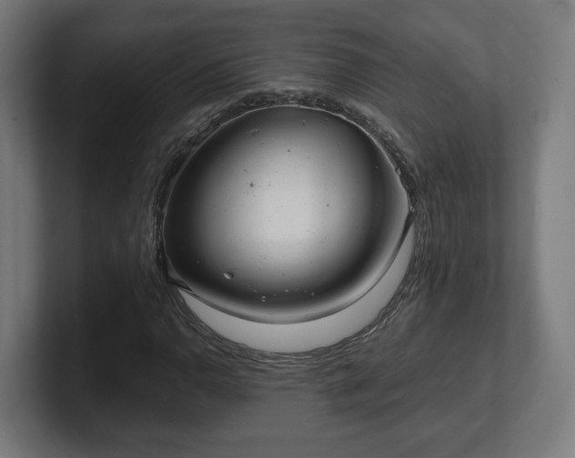 X0000101651110200807171247