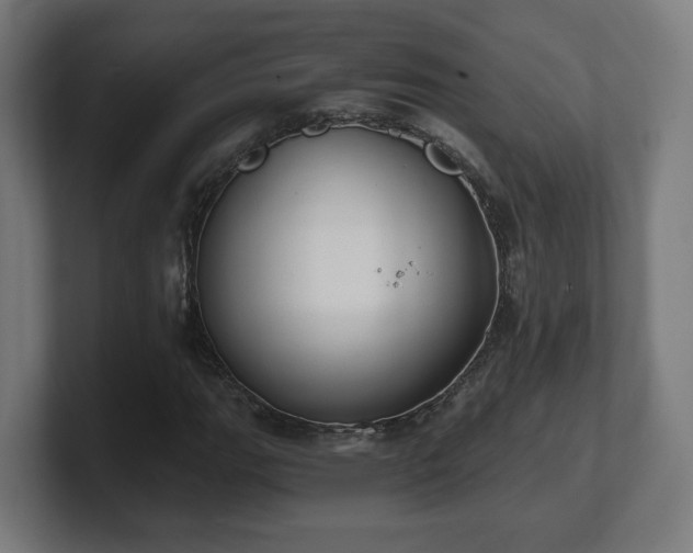 X0000101651111200807171247