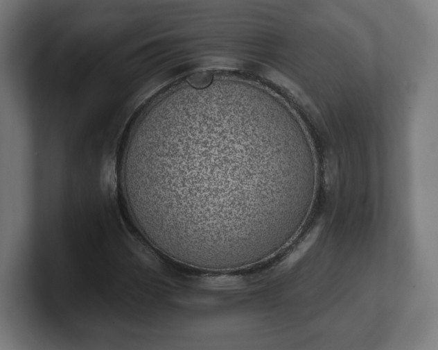 X0000101651113200807171247