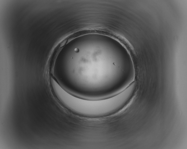 X0000101651114200807171247