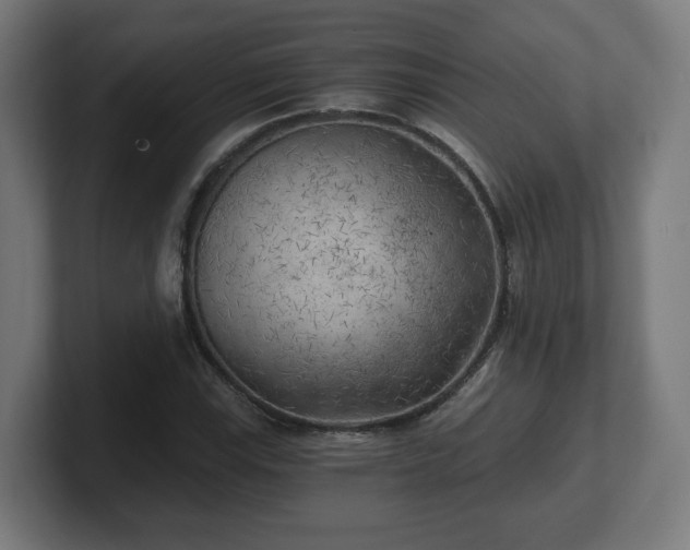 X0000101651115200807171247