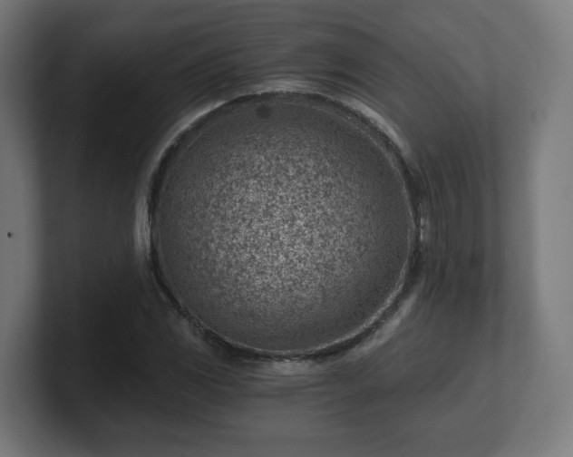 X0000101651117200807171247