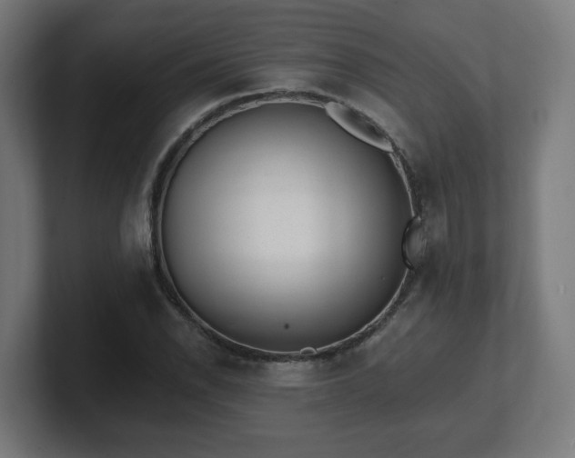 X0000101651118200807171247