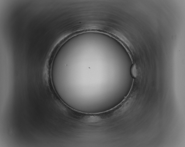 X0000101651119200807171247