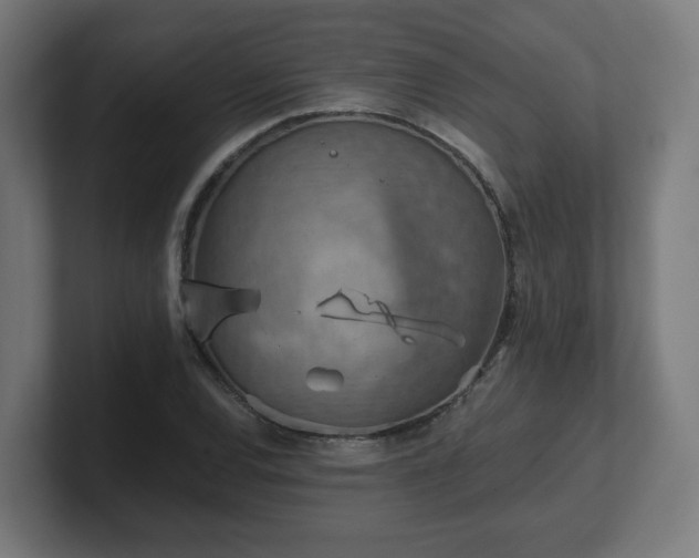 X0000101651120200807171247