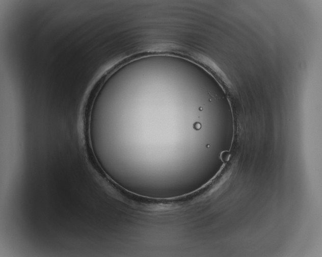 X0000101651122200807171247