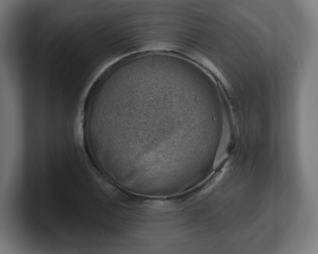 X0000101651124200807171247