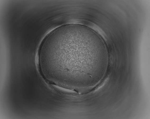 X0000101651125200807171247