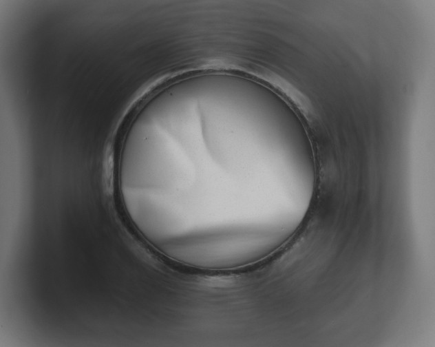 X0000101651126200807171248