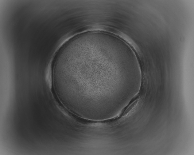 X0000101651127200807171248