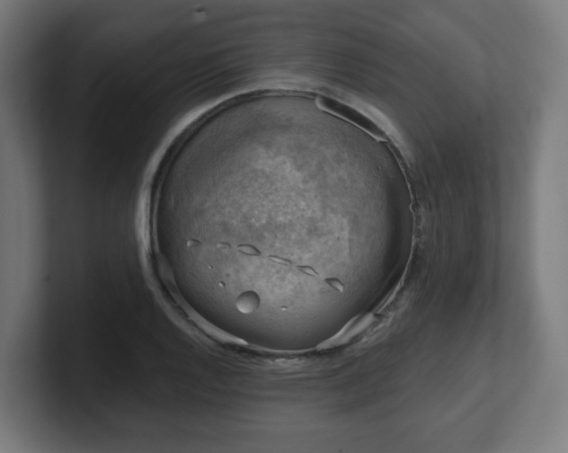 X0000101651128200807171248