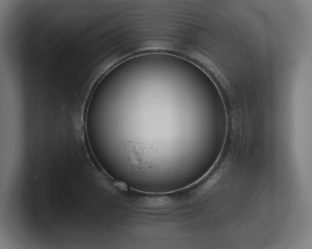 X0000101651129200807171248